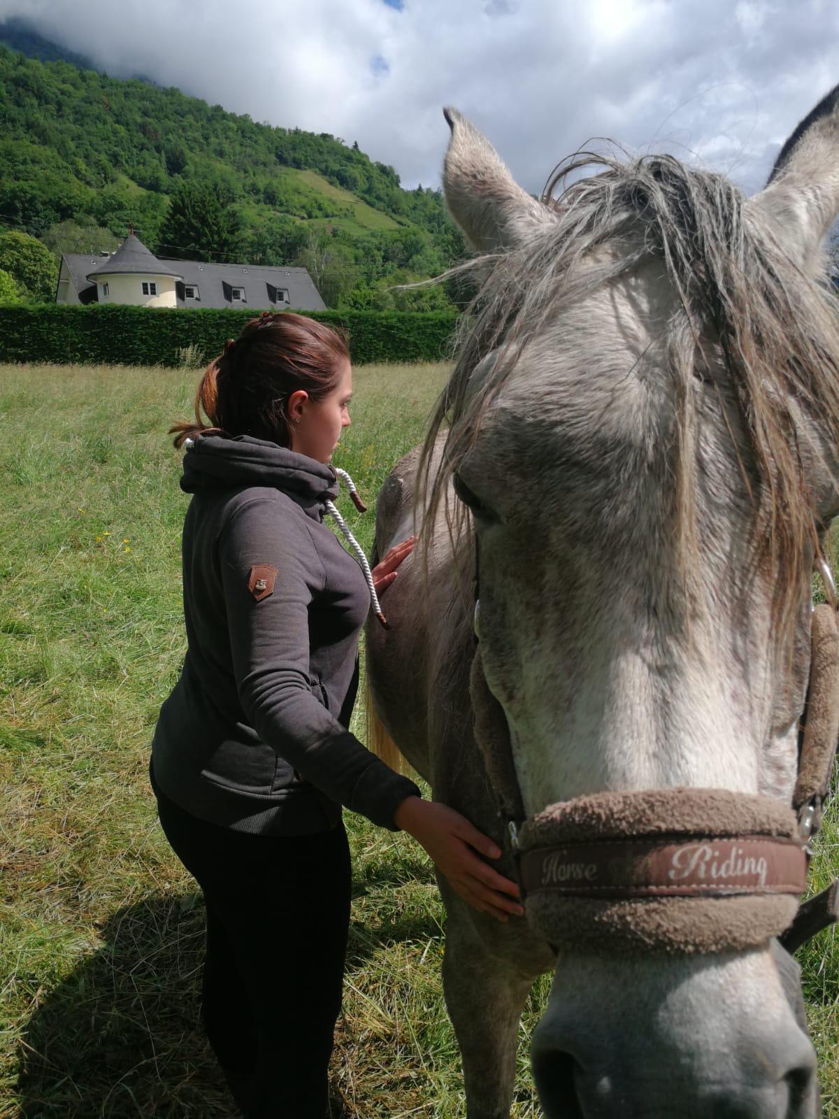 Portrait d'un cheval en contre-jour