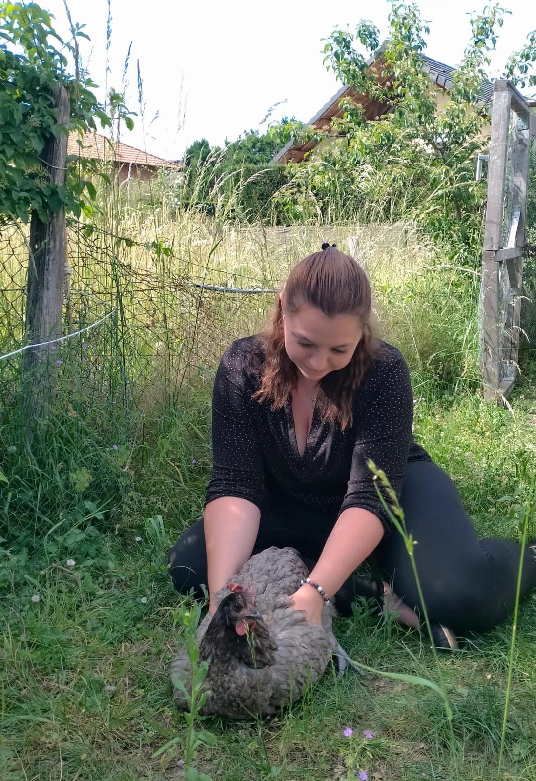 Portrait d'une poule